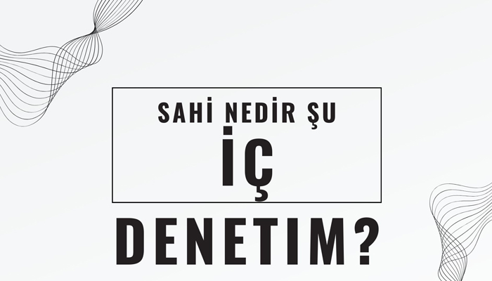 İç Denetim Nedir?